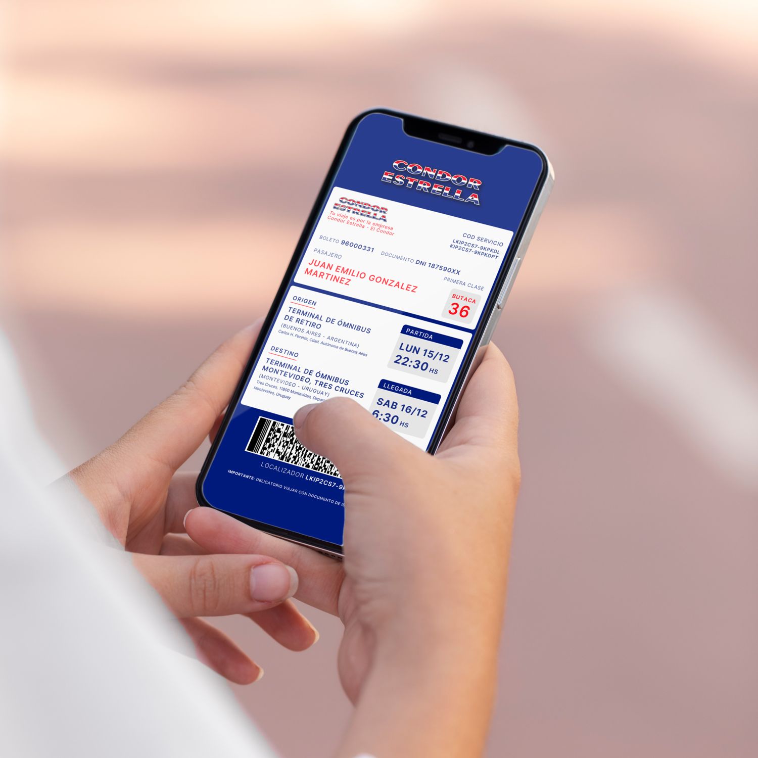 E-ticket C&oacute;ndor Estrella
